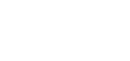 SYE