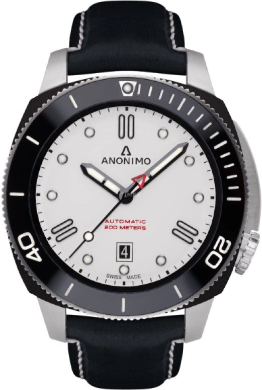 Anonimo 鹦鹉螺