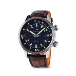 iwciw323101在安帝古伦 Important Modern & Vintage Timepieces & Jewelry上的样品照片