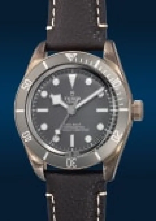 tudor79010sg在富艺斯 The Hong Kong Watch Auction: XVIII上的样品照片