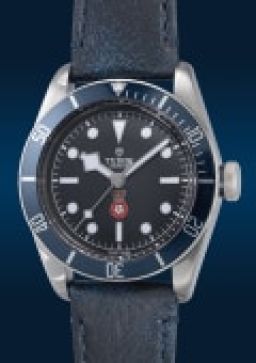 tudor79220b在富艺斯 The Hong Kong Watch Auction: XVIII上的样品照片
