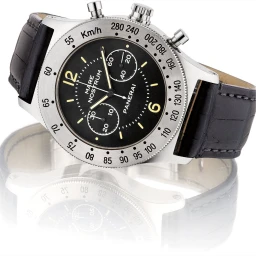 Panerai5218-301/A在富艺斯 The Hong Kong Watch AuctionHong Kong Auction上的样品照片