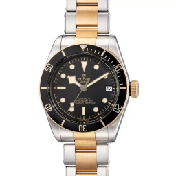 Tudor79733N在富艺斯 INTERSECT: Online Auction上的样品照片