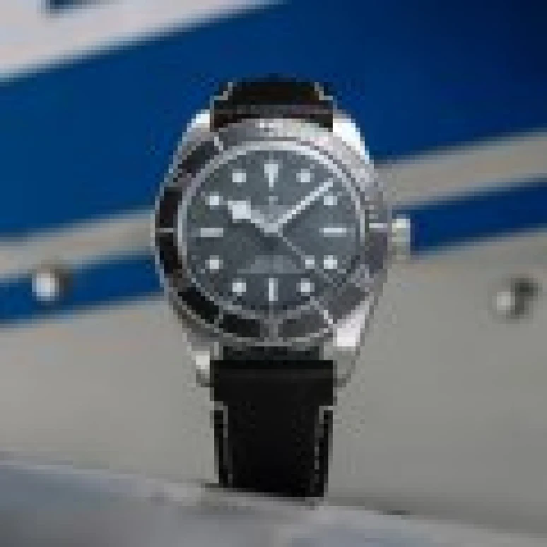 Sample photo of tudor79010sg at Phillips Phillips Watches Online: The Geneva Sessions, Fall 2022