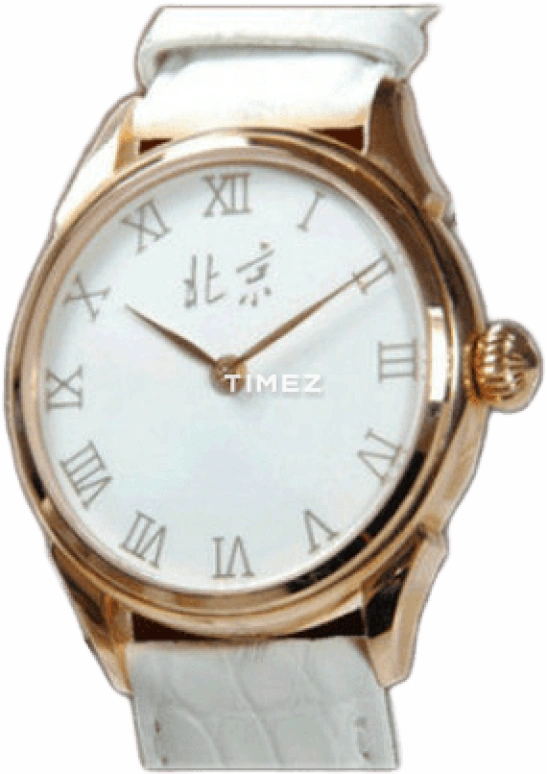 Beijing Watch Enamel BF015200810R