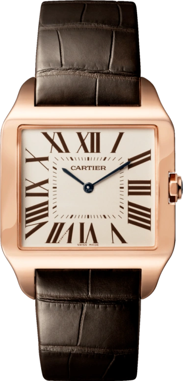 Cartier Santos de Cartier