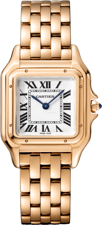 Cartier Panthère de Cartier WGPN0050