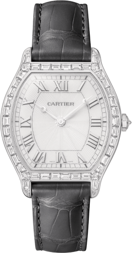 cartier cartier-tortue 