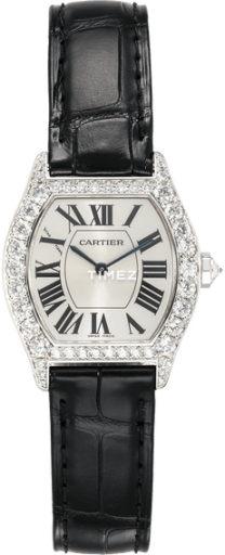 cartier cartier-tortue 