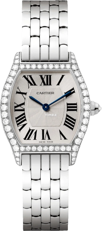 Cartier,Tortue 30x24mm,30x24mm,Silver White,Hardlex,WA501011