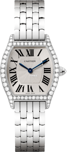 cartier cartier-tortue 