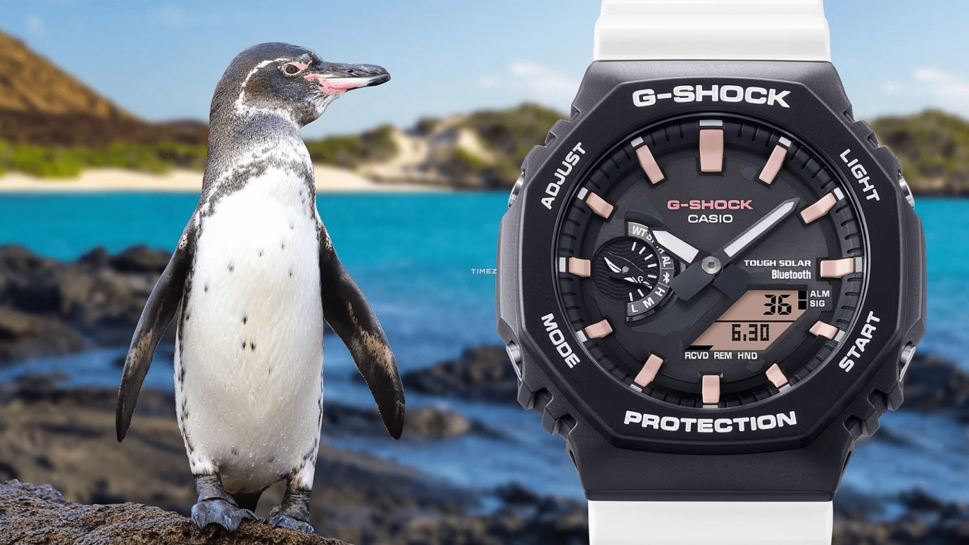 卡西欧,G-SHOCK 45.40毫米,45.40毫米,碳纤维,生物基,合成树脂,黑色,石英,倒计时,计时,月历,星期历,矿物水晶,八角形,GAB2100CD1A7