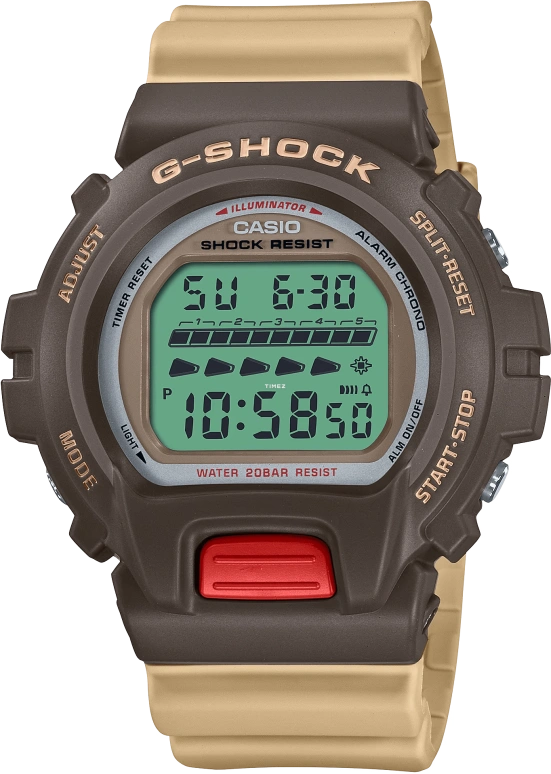 卡西欧 G-SHOCK DW6600PC-5