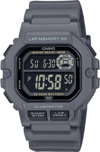 casio casio-standard 