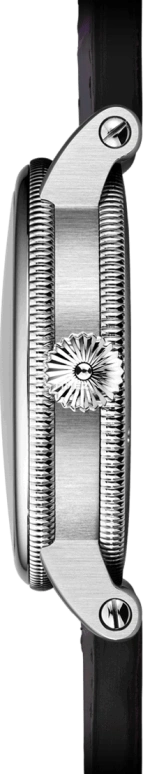 瑞宝,Open Gear 44毫米,44毫米,不锈钢,紫色,黑色,手动上弦,陀飞轮,60小时,CH,CH-3123-BKPU
