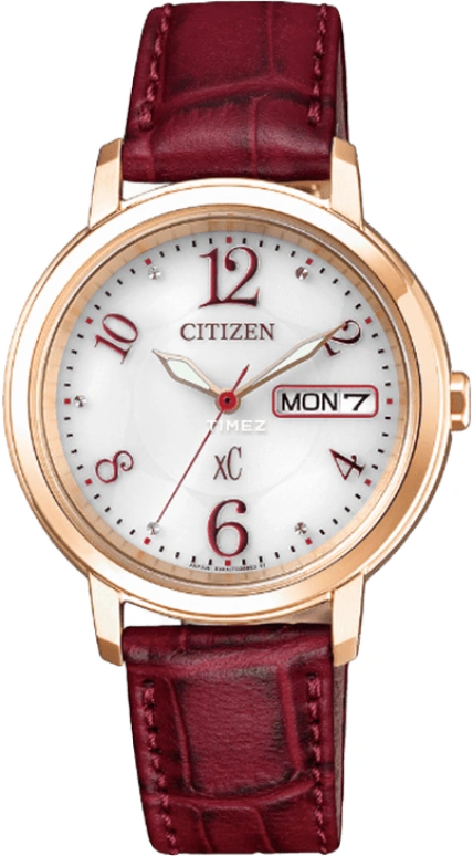 Citizen Eco-Drive EW2422-12A