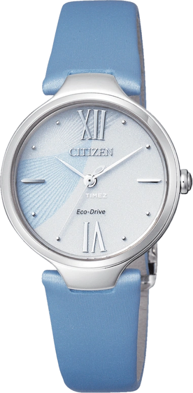 Citizen Other EM0040-21A