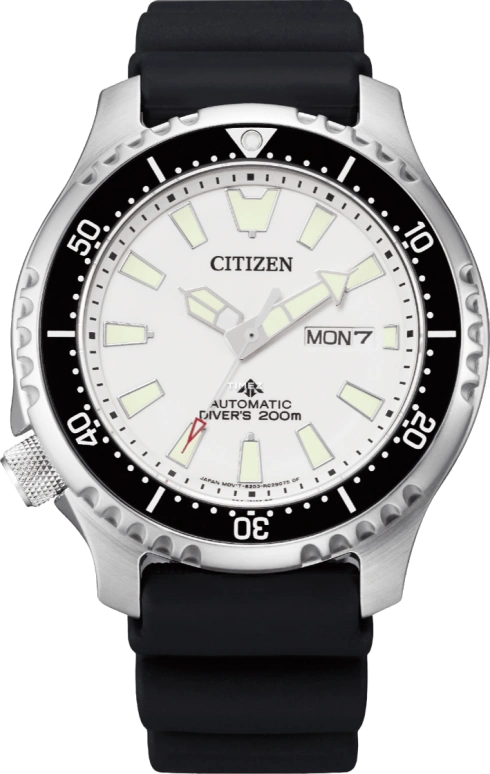 Citizen Other NY0118-11AB