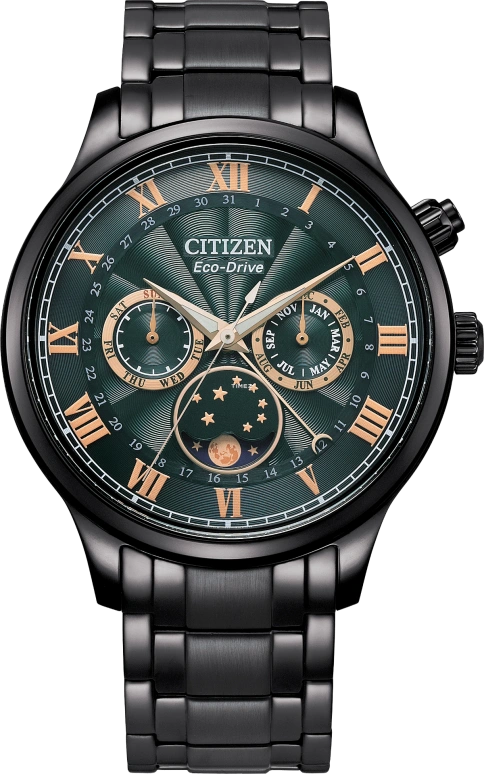 Citizen Eco-Drive AP1055-87X