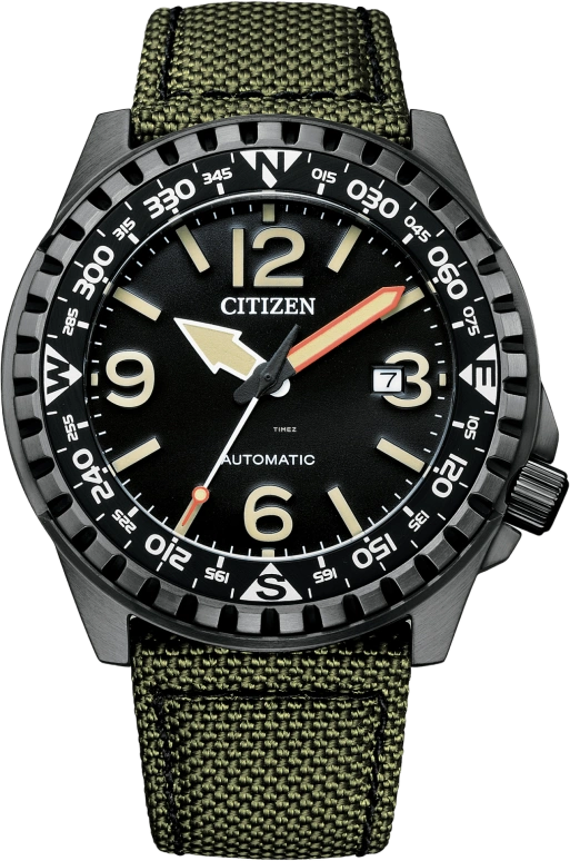 Citizen Other NJ2197-19E