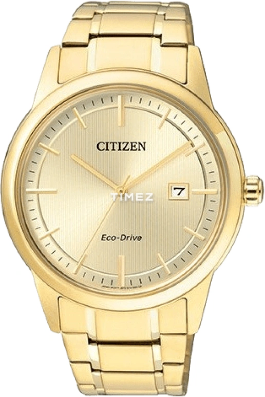Citizen Other AW1232-55P