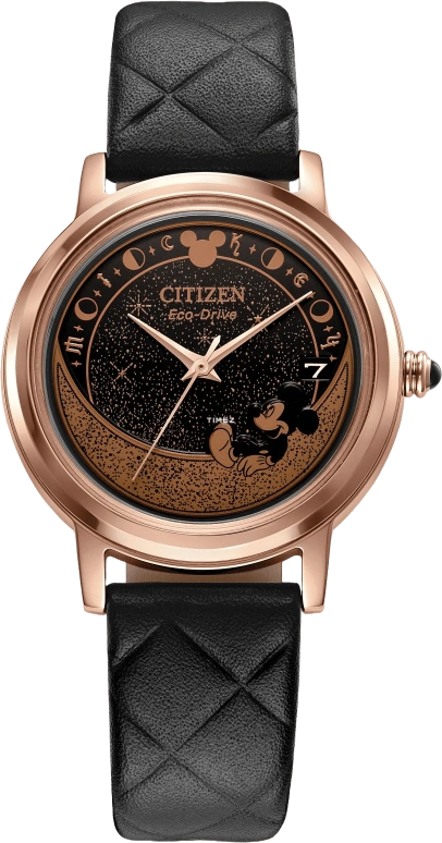 Citizen Other FE6098-08W