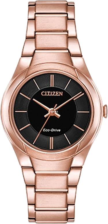 Citizen Other FE2093-54E
