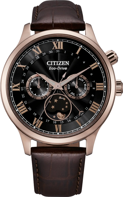 Citizen Eco-Drive AP1059-19E