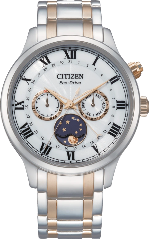Citizen Eco-Drive AP1054-80A