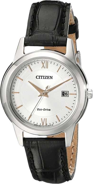 Citizen Other FE1086-04A