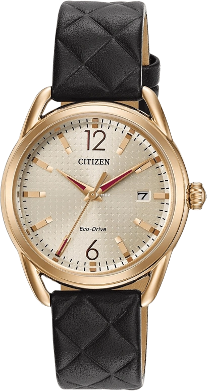 Citizen Other FE6083-13P