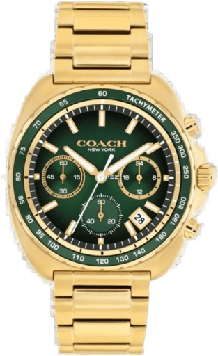 coach coach-charter 