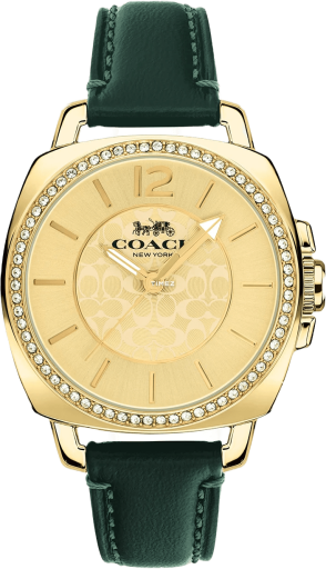 coach coach-cabfr 