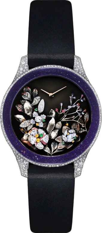 Dior,High Timepieces 36mm,36mm,White Gold,Black,Quartz,Sapphire,Crystal Glass,Round,CD13316X1005