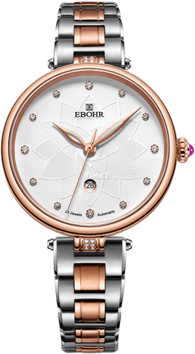 ebohr ebohr-butterfly 