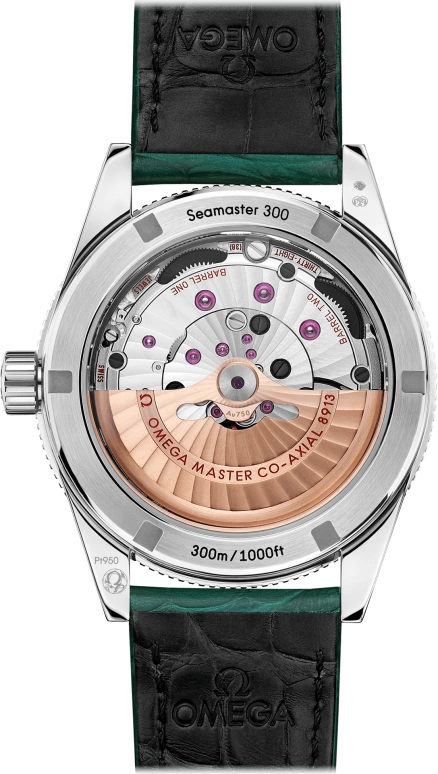 Omega,Seamaster 300 41mm,41mm,Platinum,Green,Automatic,Co-Axial Escapement,60hours,234,234.93.41.21.99.001