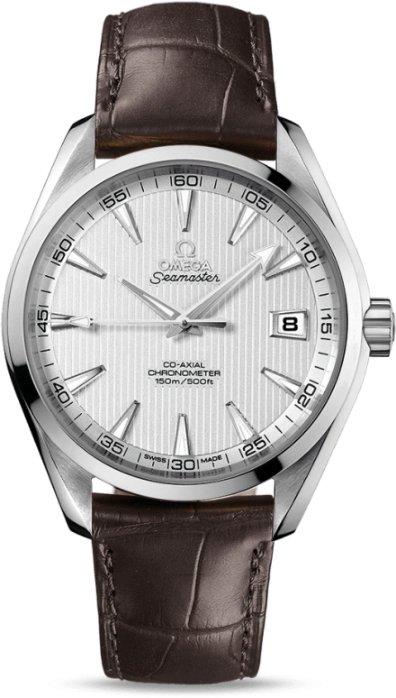 Omega Aqua Terra 231.13.42.21.02.001