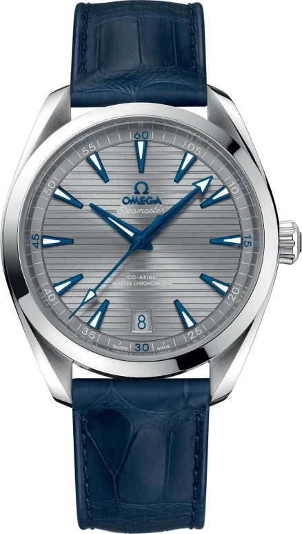 Omega Aqua Terra 220.13.41.21.06.001