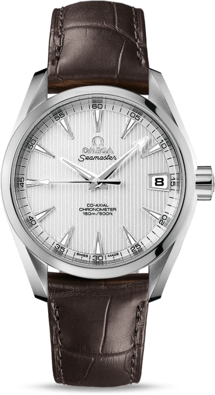 Omega Aqua Terra 231.13.39.21.02.001