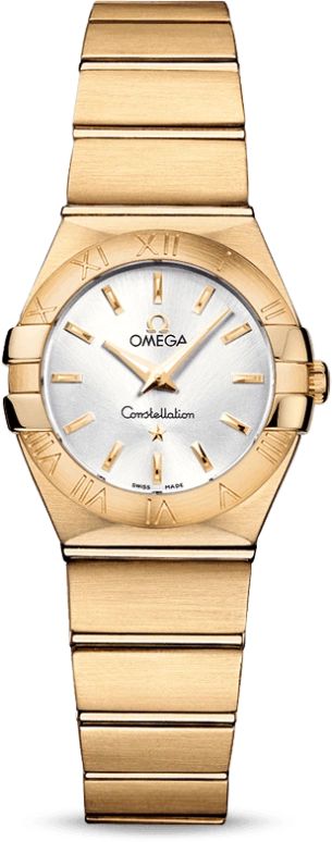 Omega Constellation 123.50.24.60.02.002