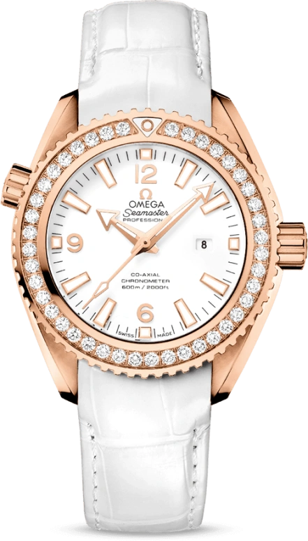 Omega Seamaster Planet Ocean 232.58.38.20.04.001