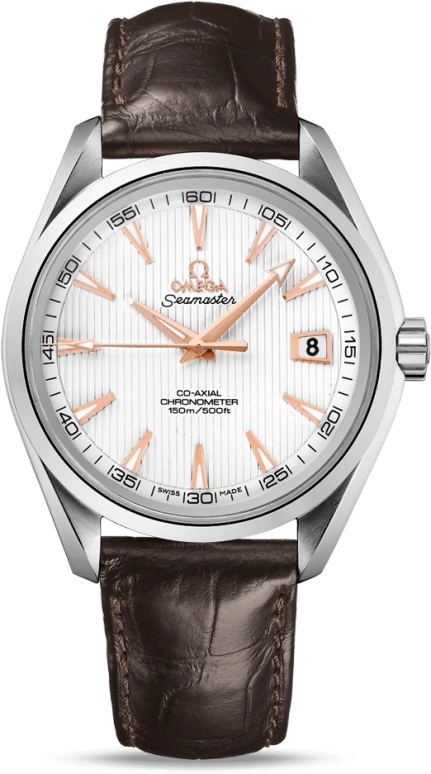 Omega Aqua Terra 231.13.42.21.02.002