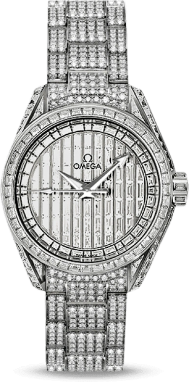 Omega Aqua Terra 231.55.30.20.99.003