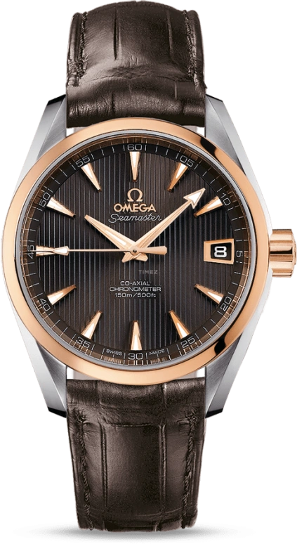 Omega Aqua Terra 231.23.39.21.06.001