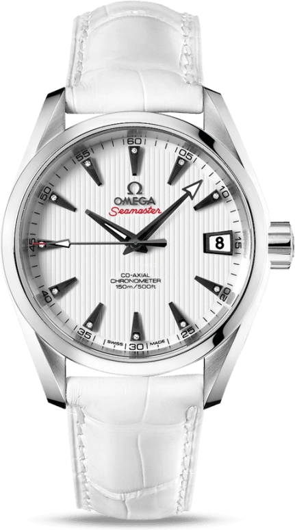 Omega Aqua Terra 231.13.39.21.54.001