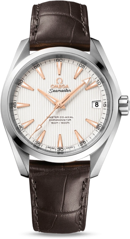 Omega Aqua Terra 231.13.39.21.02.003