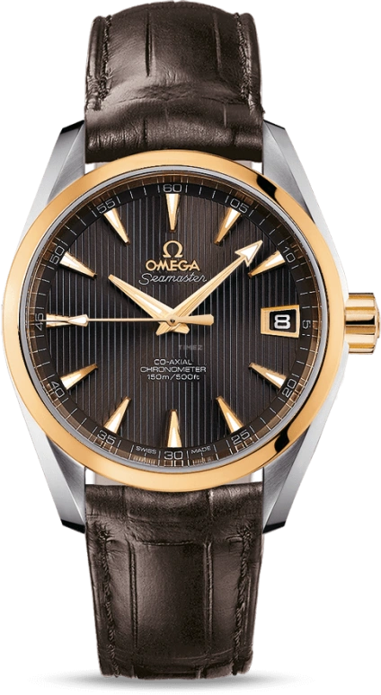 Omega Aqua Terra 231.23.39.21.06.002