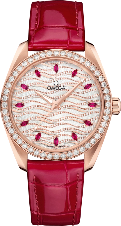 Omega Aqua Terra 220.58.38.20.99.004