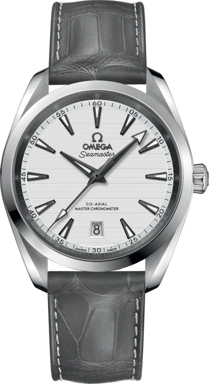 Omega Aqua Terra 220.13.38.20.02.001