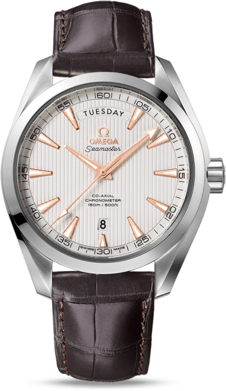 Omega Aqua Terra 231.13.42.22.02.001